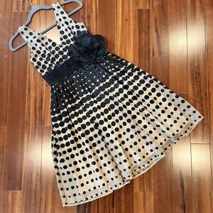 Burlapp Black Beige Dress Polka Dot Knee Length Pleated Lined Fit & Flare Size 0